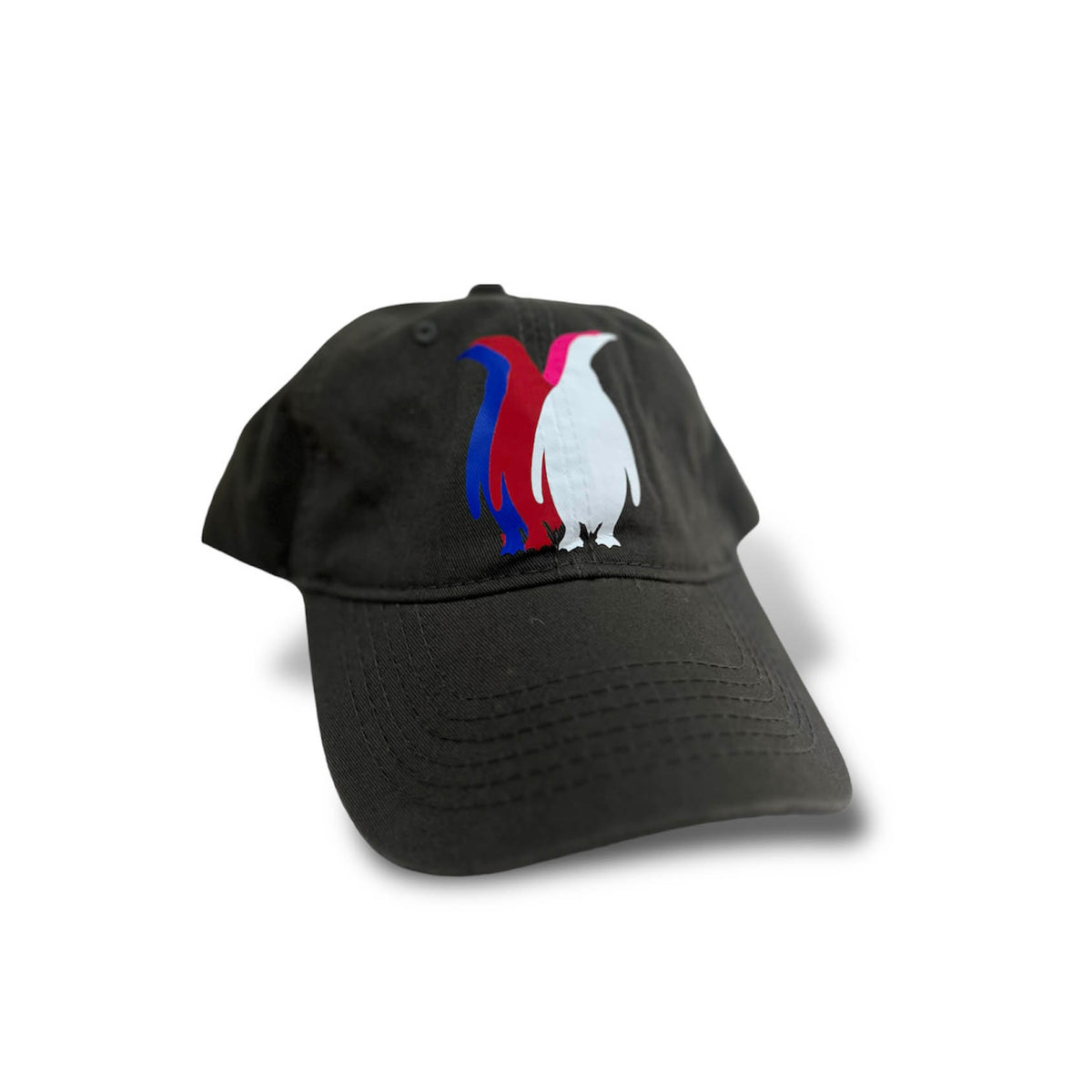 Gorra pingüinos contorno fucsia y azul